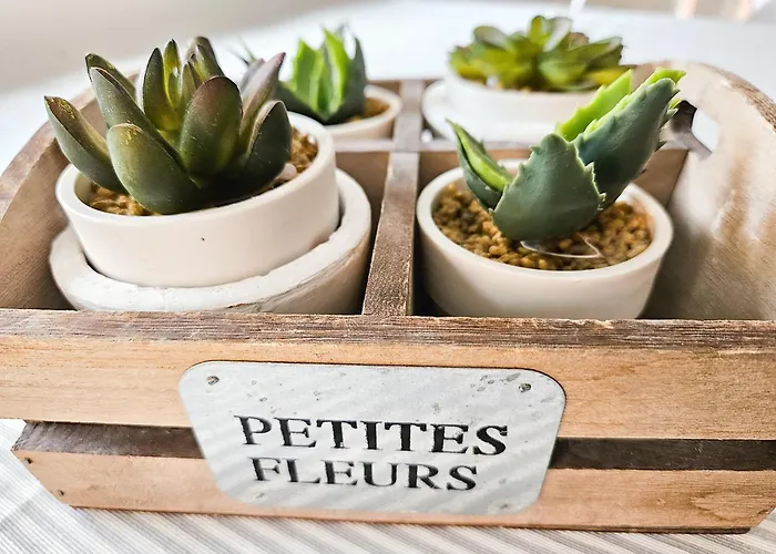 Апартаменты Plaza De La Juderia Теруэль