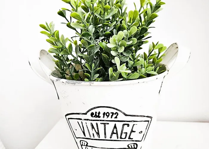 Апартаменты Plaza De La Juderia *